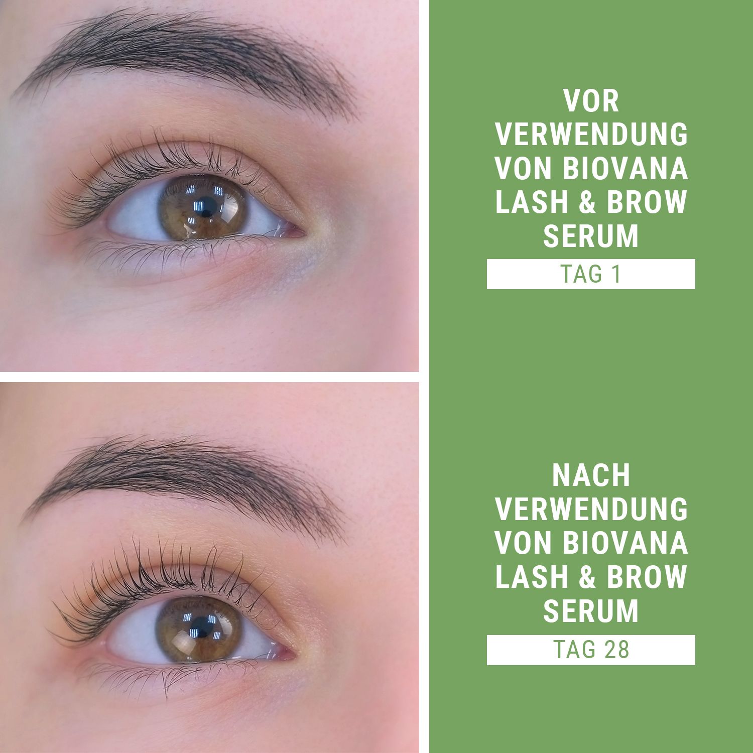 Biovana Magic Lash & Brow Serum