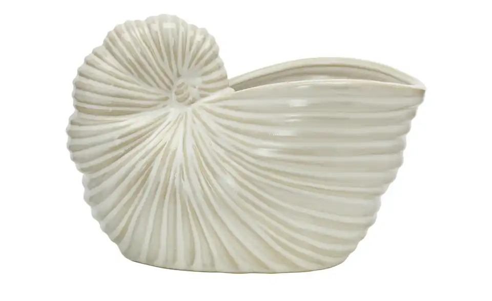 Deko Schale Muschel 20,5 cm