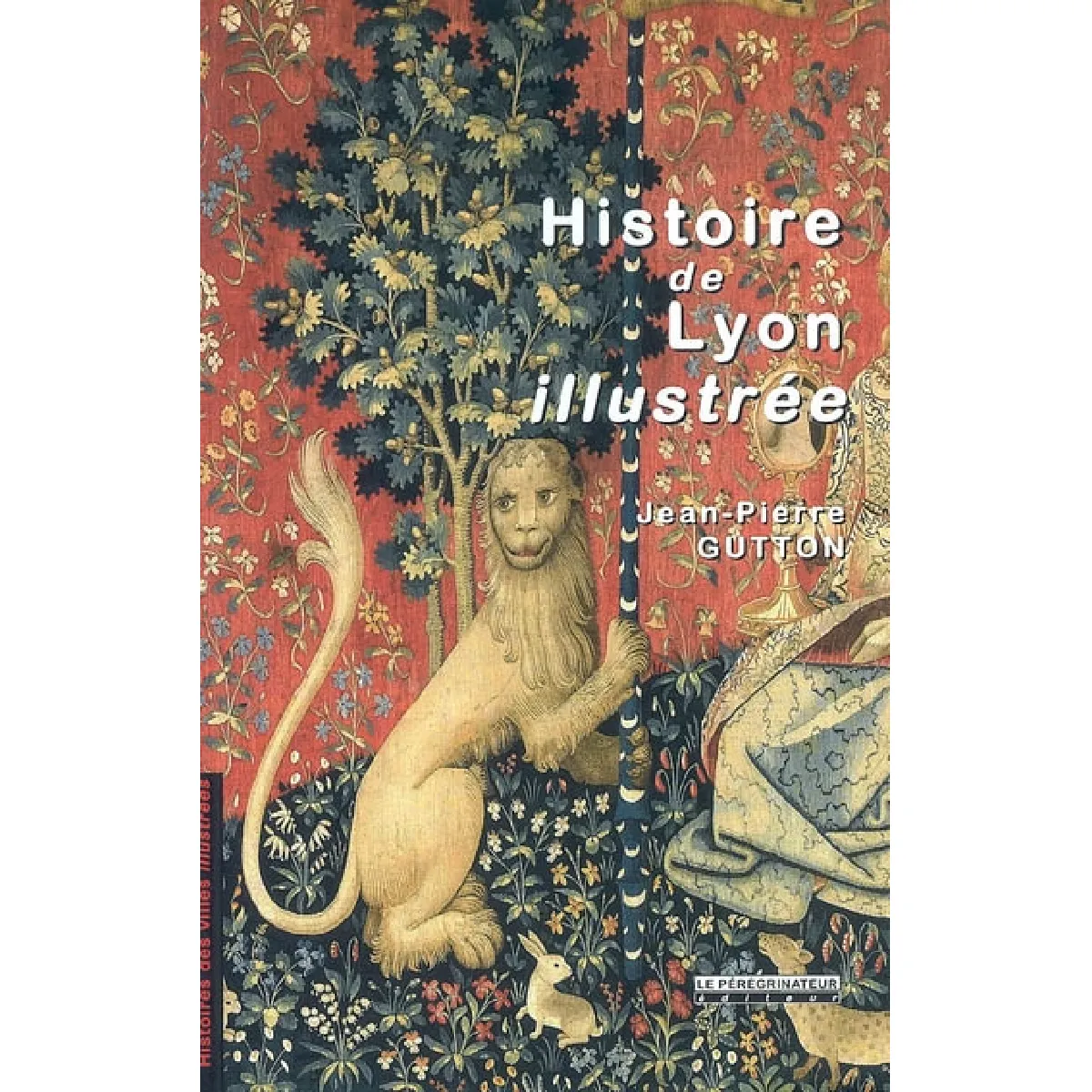Histoire de Lyon illustrée · Occasion