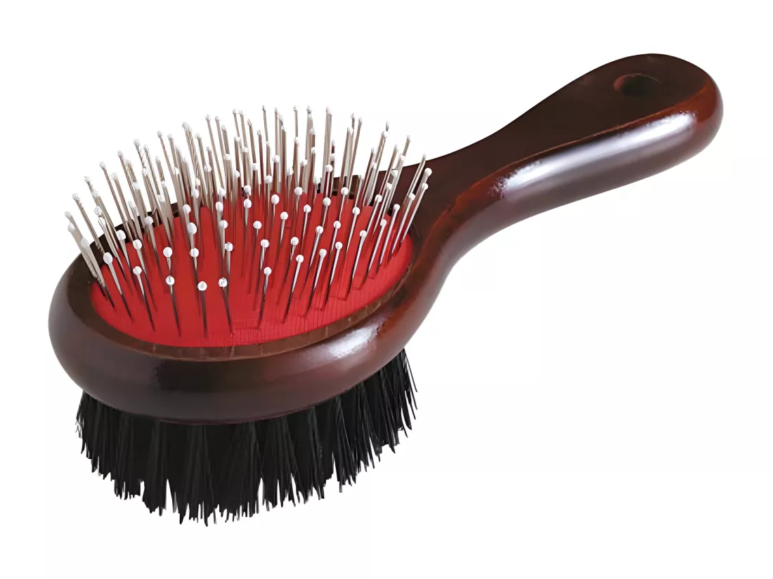 Brosse de Toilettage en Bois 