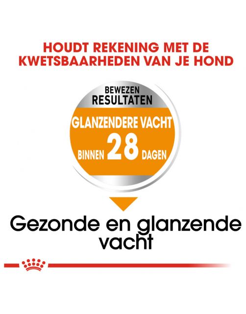 Royal Canin Coat Care Mini - Hondenvoer