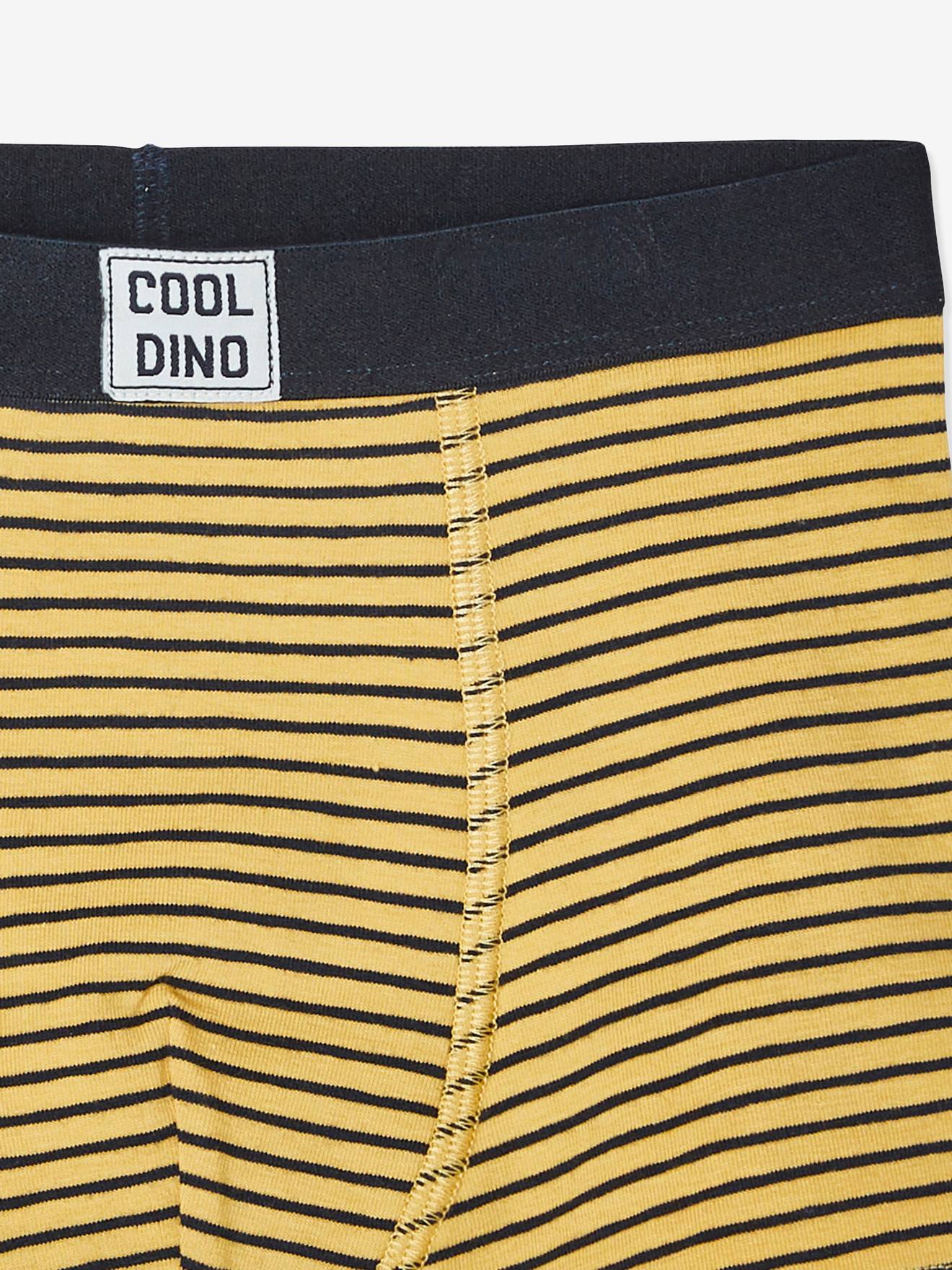 Pacote com 5 cuecas boxer elásticas para meninos, estampa de dinossauro azul escuro
