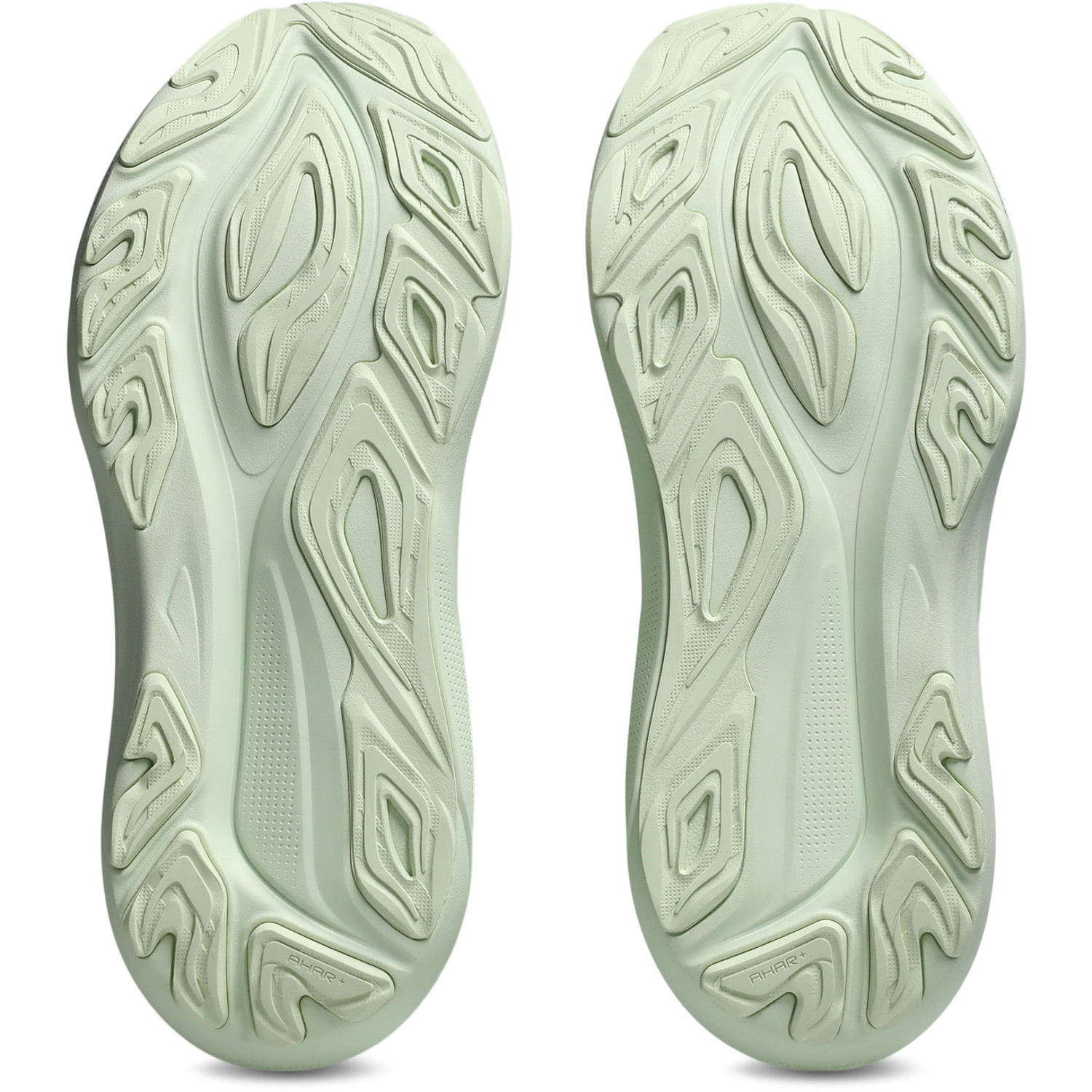 ASICS GT-2000 14 Dames