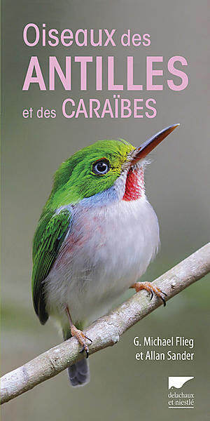 DELACHAUX  NIESTLE - OISEAUX DES ANTILLES ET DES CARAIBES