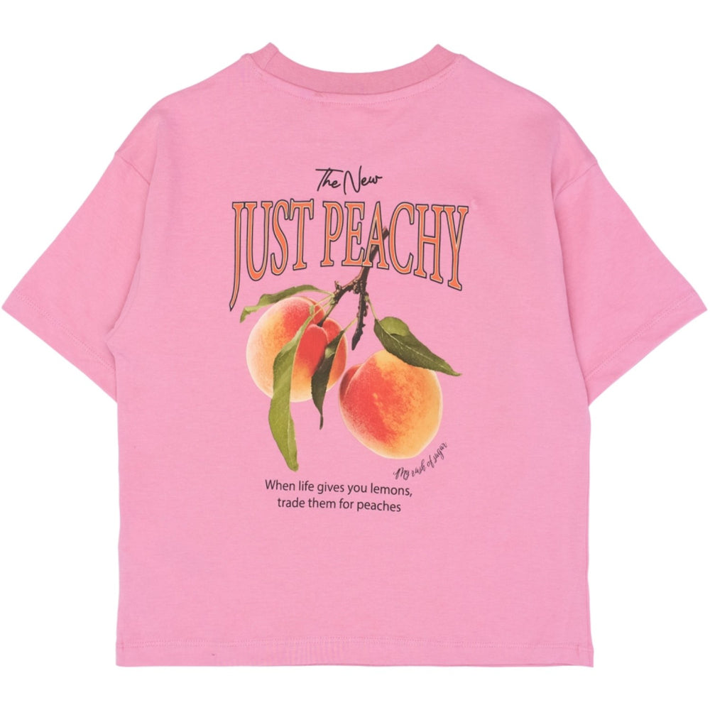 Køb The New Cashmere Rose Tntenna Os S_S Tee
