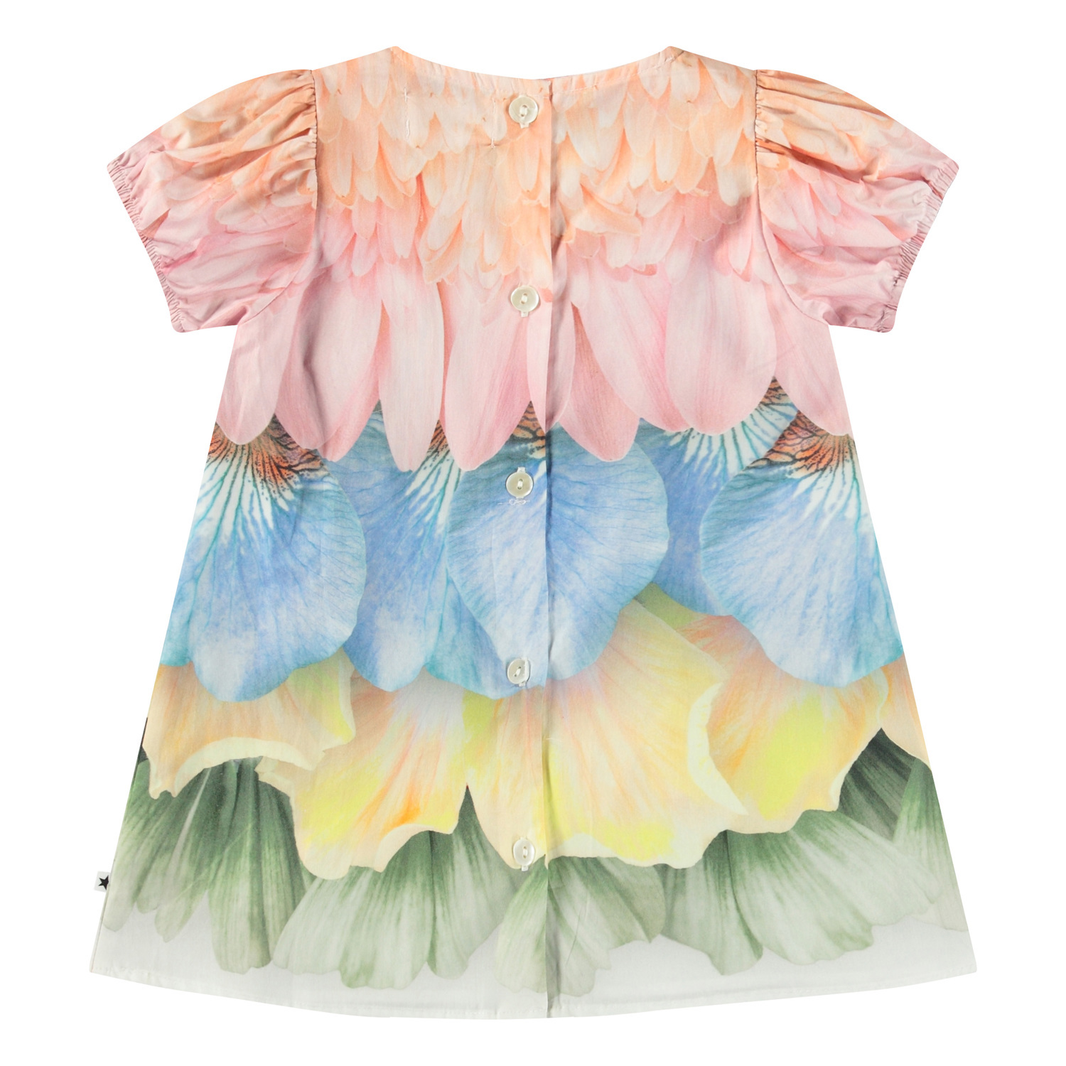 Caja - Petal Rainbow