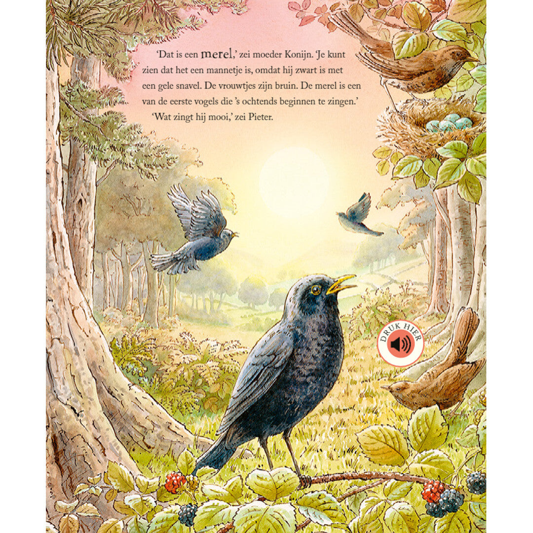 Ploegsma pieter konijn - een dag in de natuur