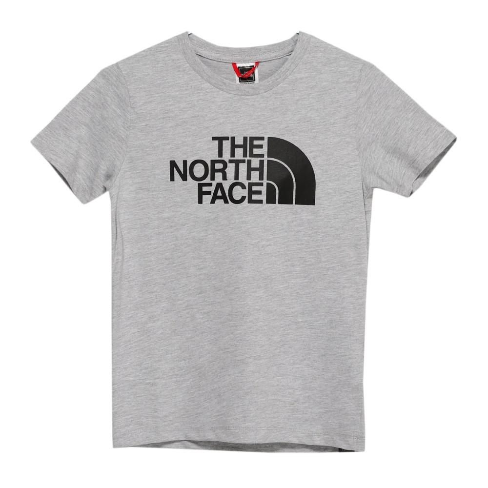 The North Face T-shirt Gris Garçon The North Face Teens