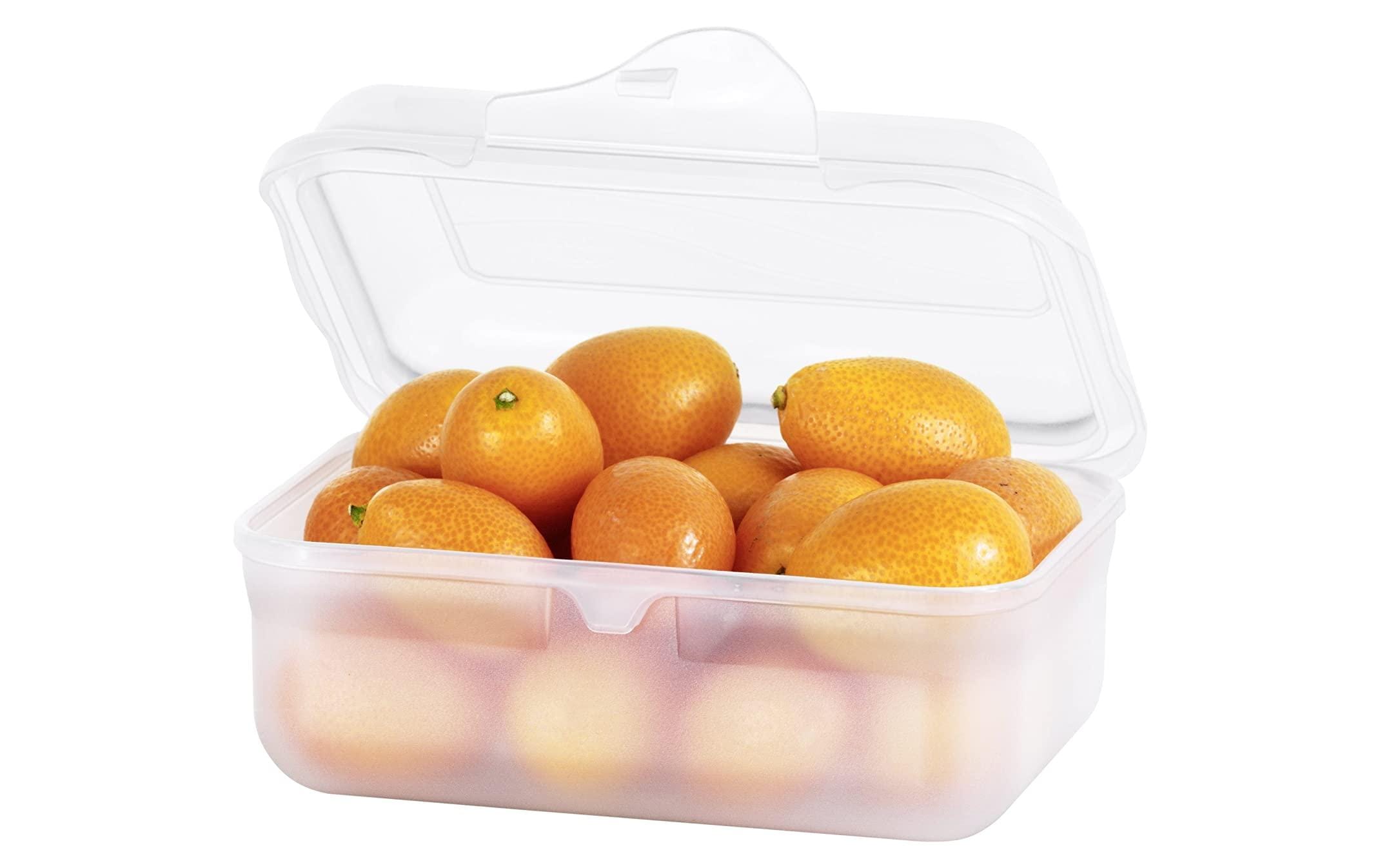Lunchbox Fun 400 ml, TransparentSnackdose für Unterwegs