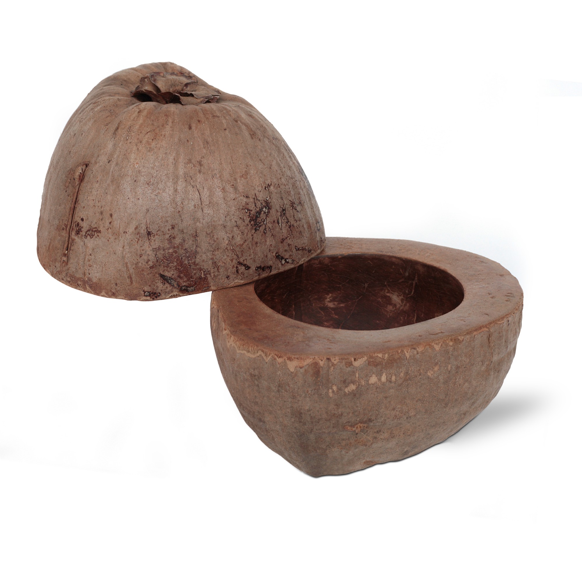 Kokosnuss-Box mit Deckel, natur, Ø 20 cm, H 25 cm von fischer's lagerhaus