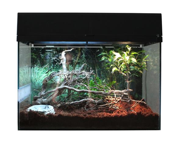 Lucky Reptile Terrarium Starter Kit