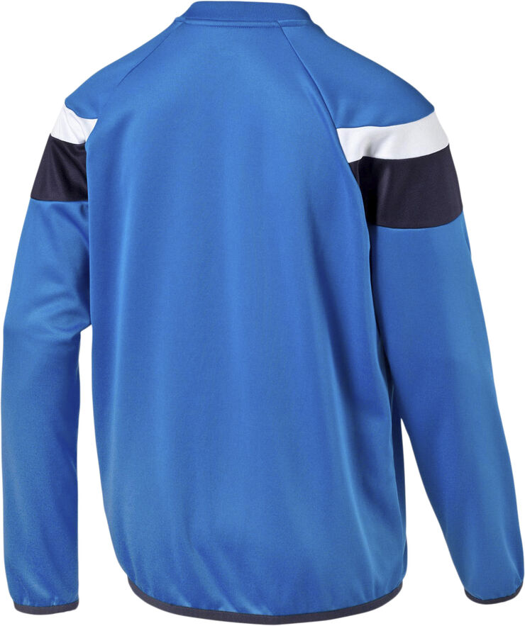 Puma Spirit II Training Sweatshirt Blå