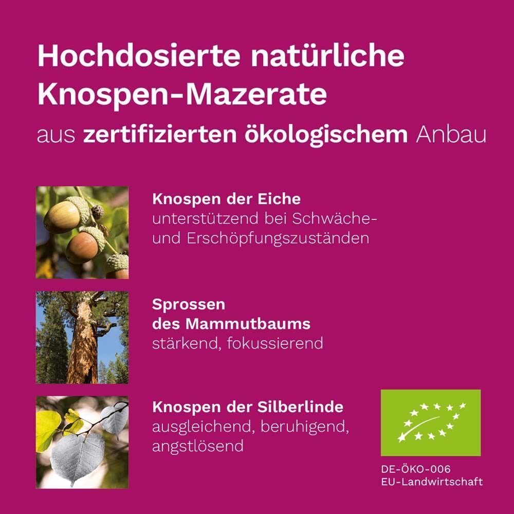DR. KOLL Nerven Plus