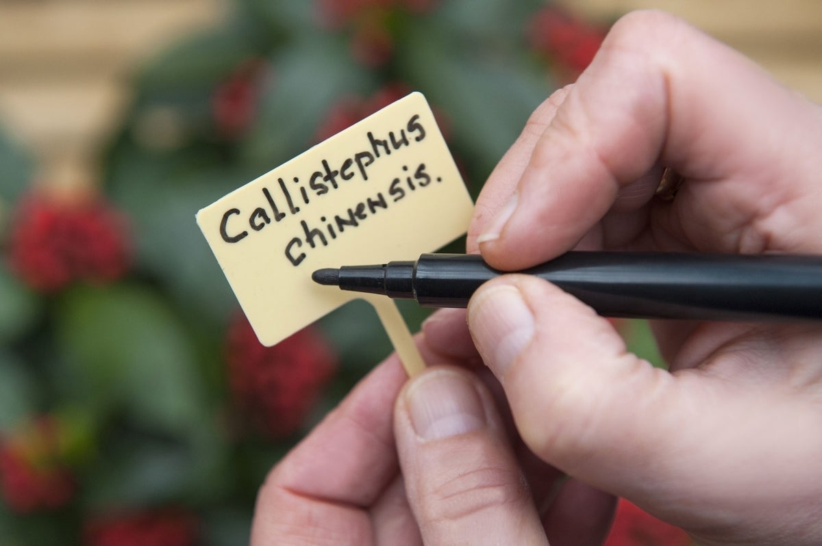 Nature plantenlabels met viltstift geel 13 cm 10 stuks