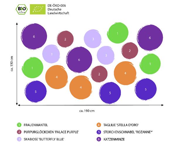 Bio Stauden-Set Lange Blüte, Landlust