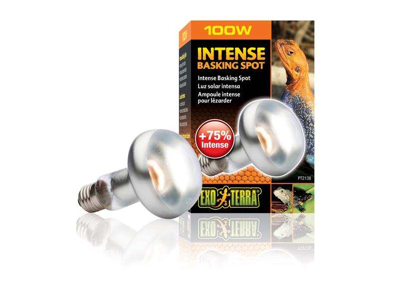 Exo Terra Terrarienlampe Intense Basking Spot E27, R25/100W Wärmespotlampe