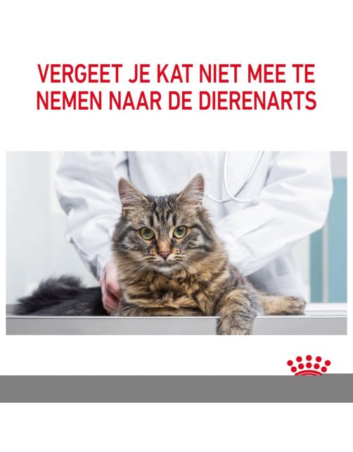 Royal Canin Urinary Care - In Gravy - Kattenvoer - 85 g