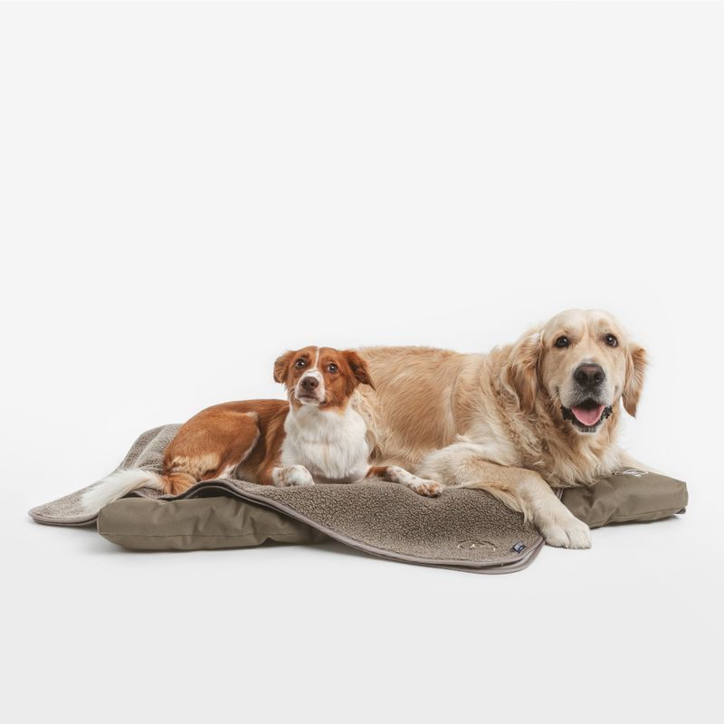 Coussin Nomad Tales Spirit Outdoor Pine
