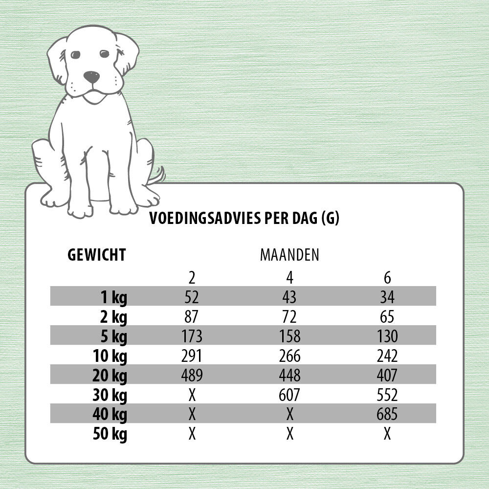Jarco Dog Giant Pup - Hondenvoer - 3 Kilogram - kalkoen