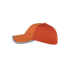 Apollo Pet