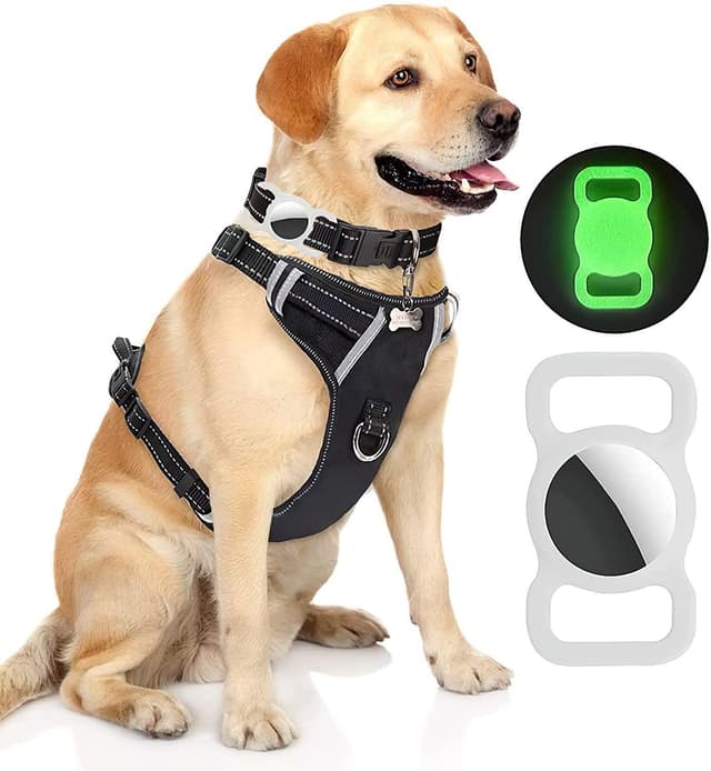 Apple AirTag holder til katte- / hundehalsbånd