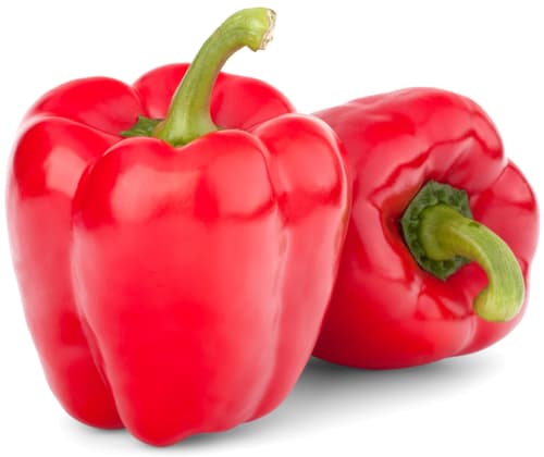 Paprika rot, 1 Stk, foliert