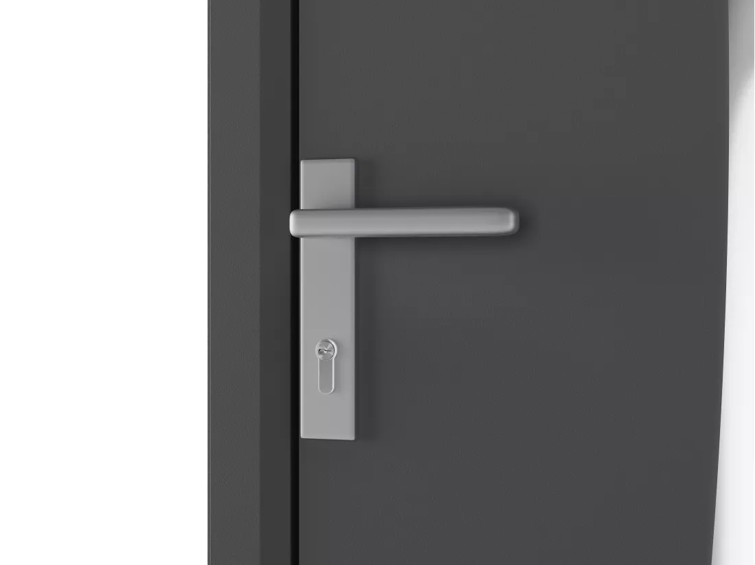 Porte d'entrée en aluminium H218 x L96 cm anthracite - poussant droit - DATELO