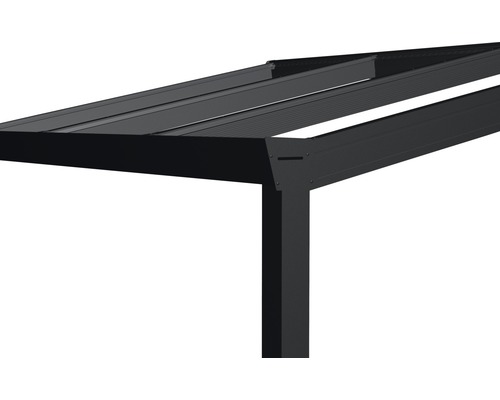 Legend terrasoverkapping met helder polycarbonaat, 300 x 200 cm, antraciet structuur