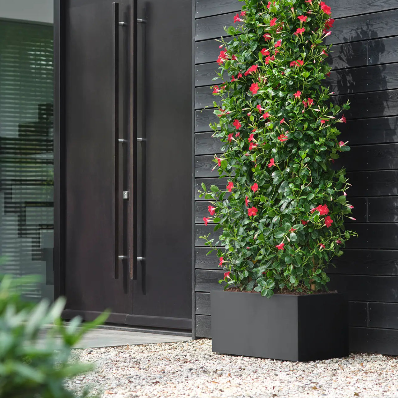 elho Vivo Next Plantenbak B 60 cm - Zwart