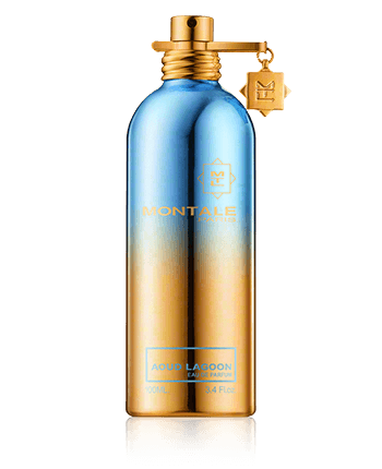 Montale Aoud Lagoon Eau de Parfum Spray 100ml