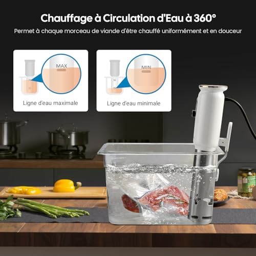 INKBIRD WiFi Thermoplongeur Sous Vide ISV 101W, Cuisson Basse Température 1000W: Écran TFT, Cuisson De Réservation App, Protection Du Niveau D'eau, Avertissement De Température, 0℃~95℃, Réglable 0,1℃ : Cuisine et Maison
