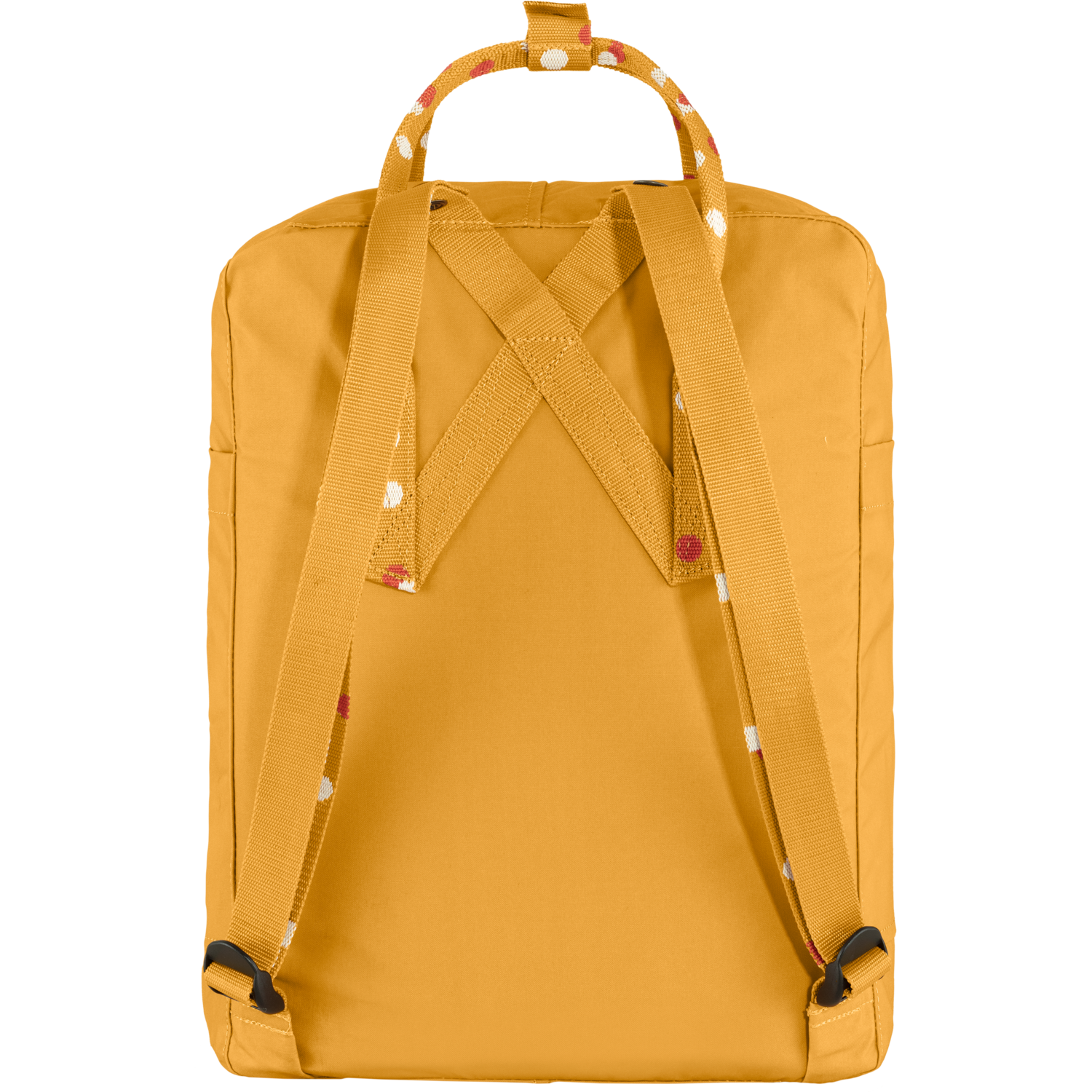 Fjäll Raven Kanken