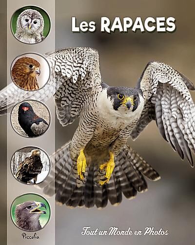 TOUT UN MONDE EN PHOTO LES RAPACES