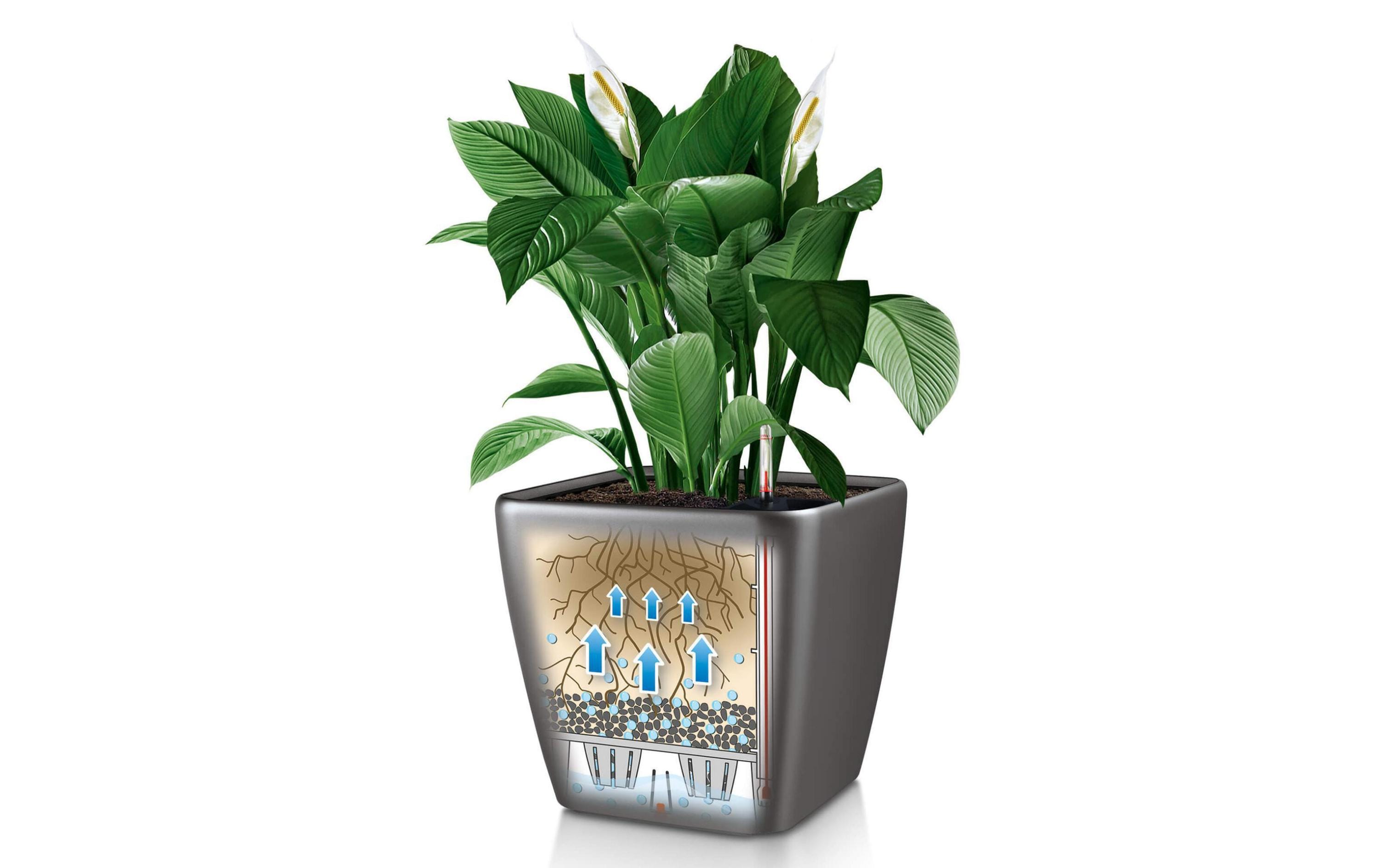 Pflanzentopf Quadro Premium 21 LS DunkelgrauTopf