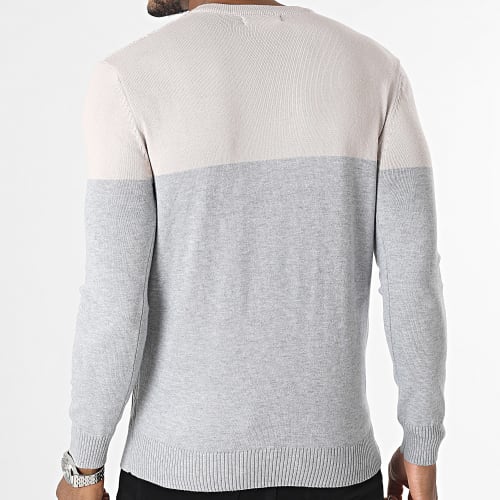 Pull Beige Gris