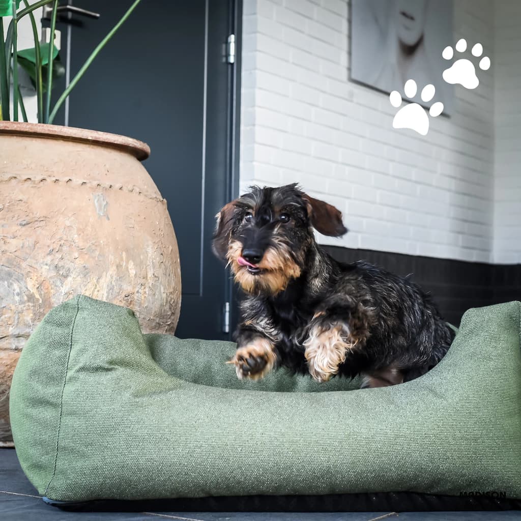 Cama para cachorro