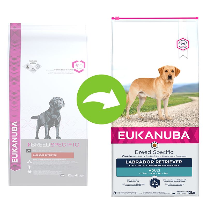 Eukanuba Adult Breed Specific Labrador Retriever à prix discount sur bitiba.fr
