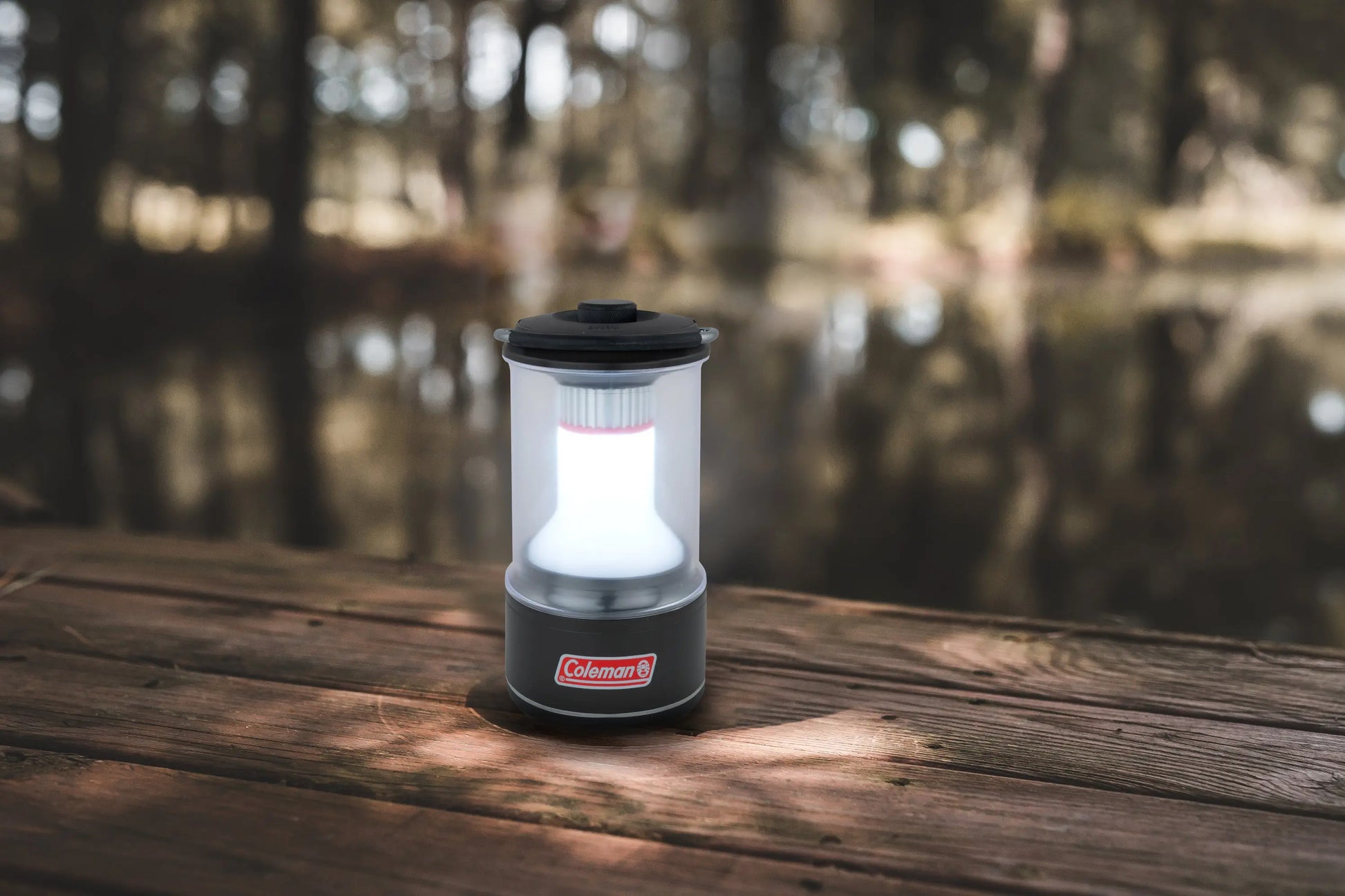 BatteryGuard 600L LED Lampe