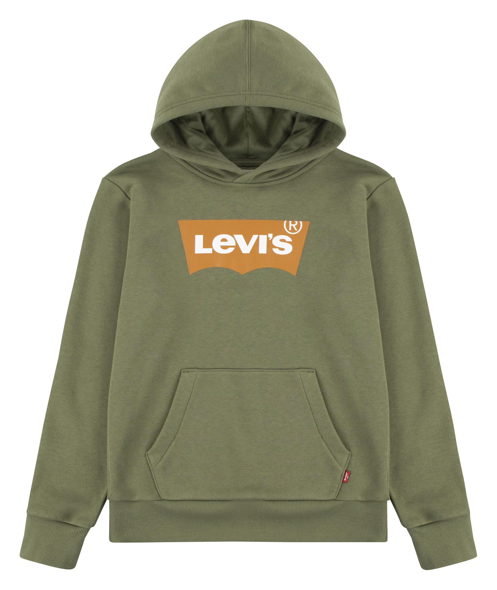 Sweat à capuche droit en coton mélangé | Vert
