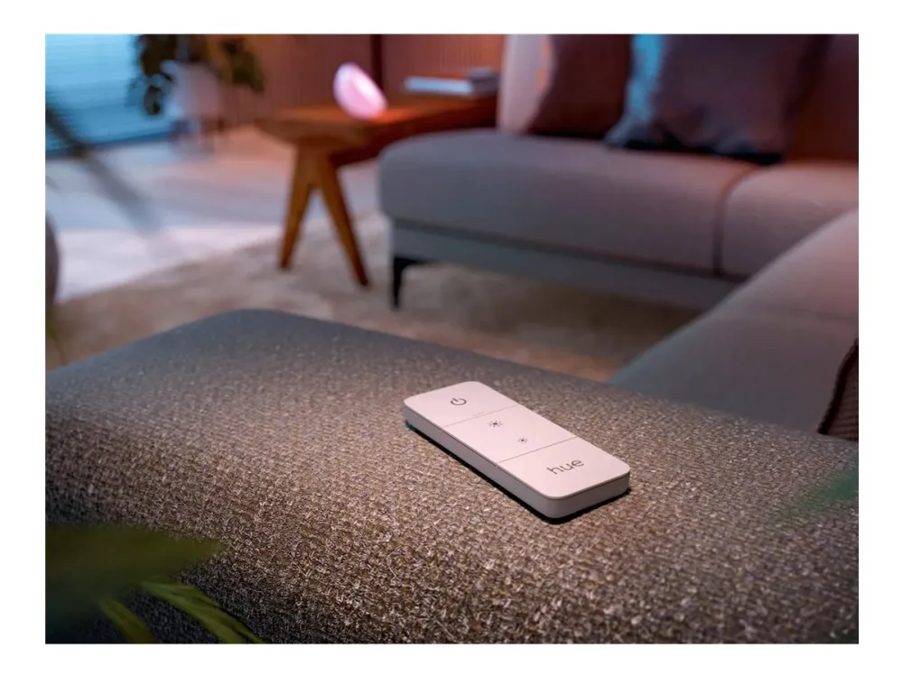 Philips Hue Dimmer switch