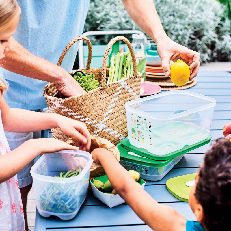 KlimaOase 800 ml Frischhaltebehälter für Kräuter, Babykarotten und mehr