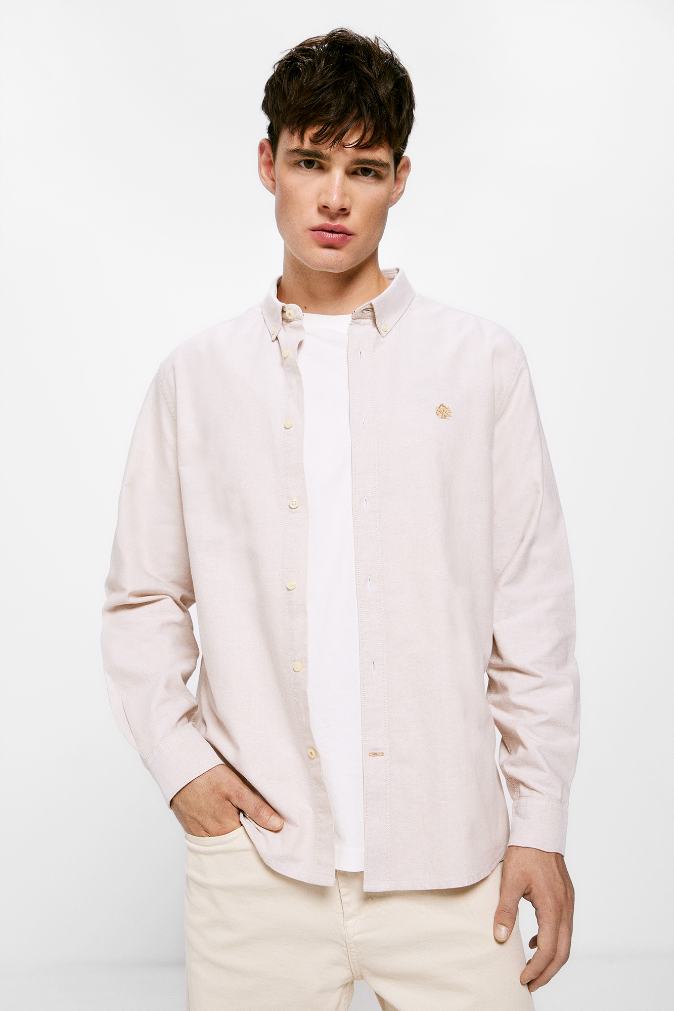 Cor da camisa Oxford