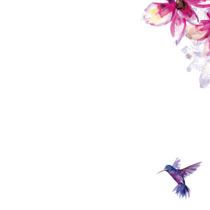 Michelle Dujardin | Nieuwe baan kaart | vogels