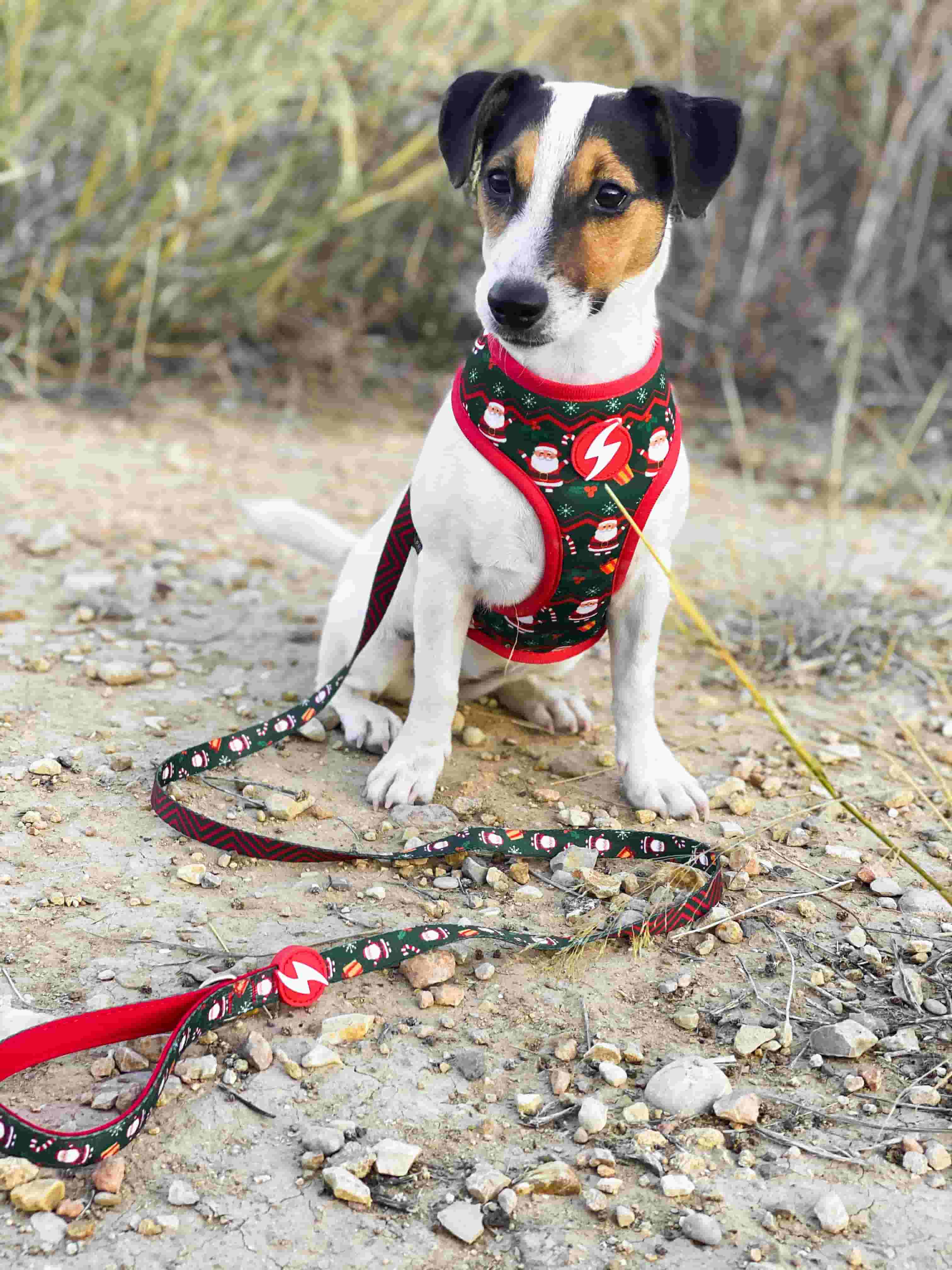 Guia para cães Noel em poliéster, várias cores.