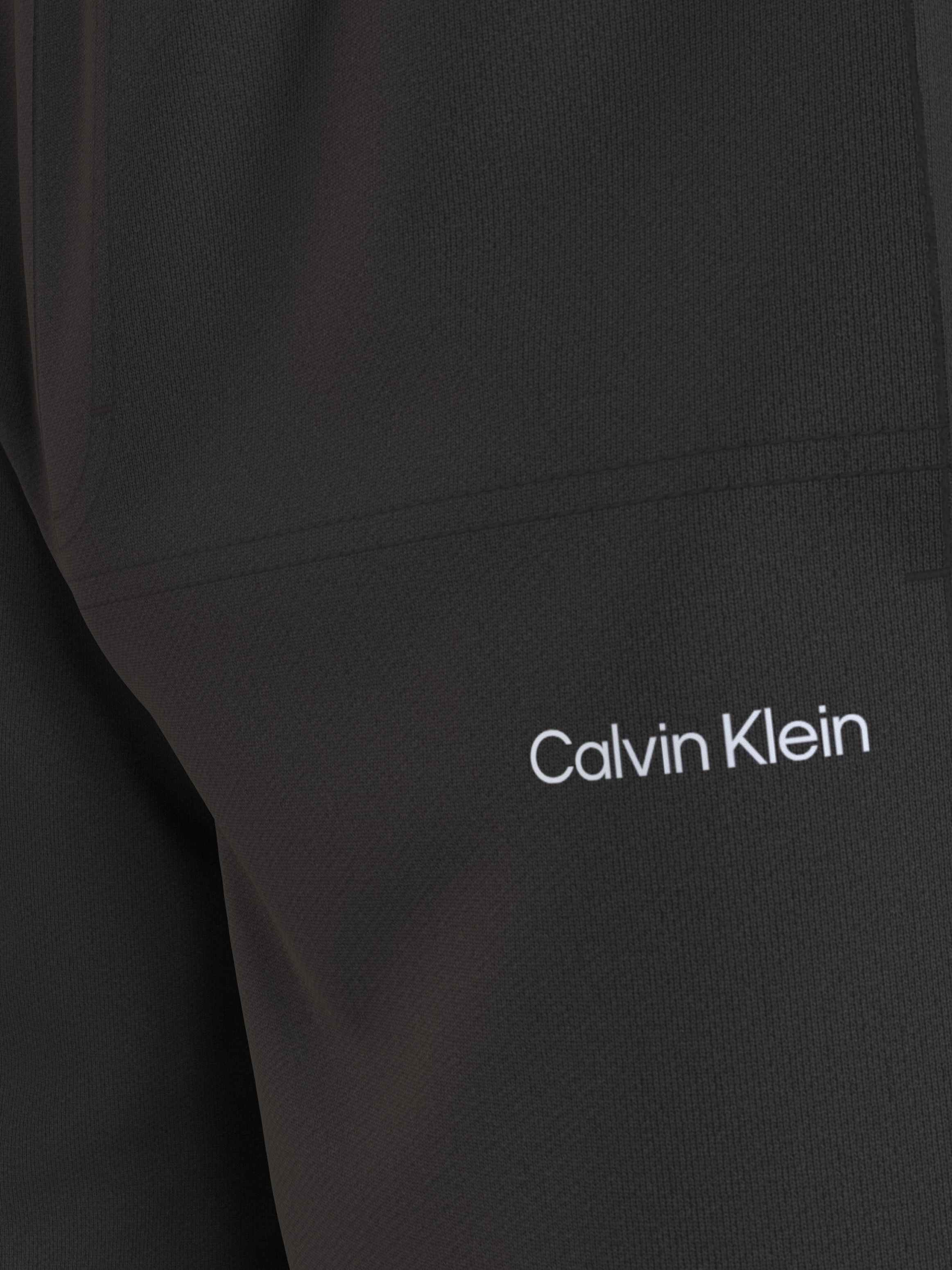 Calvin Klein Big&Tall Shorts »BT_MICRO LOGO REPREVE SHORTS«  in grossen Grössen