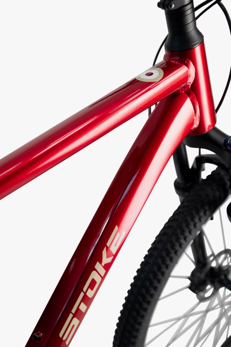 Stoke Naga 29 Mountainbike 2024