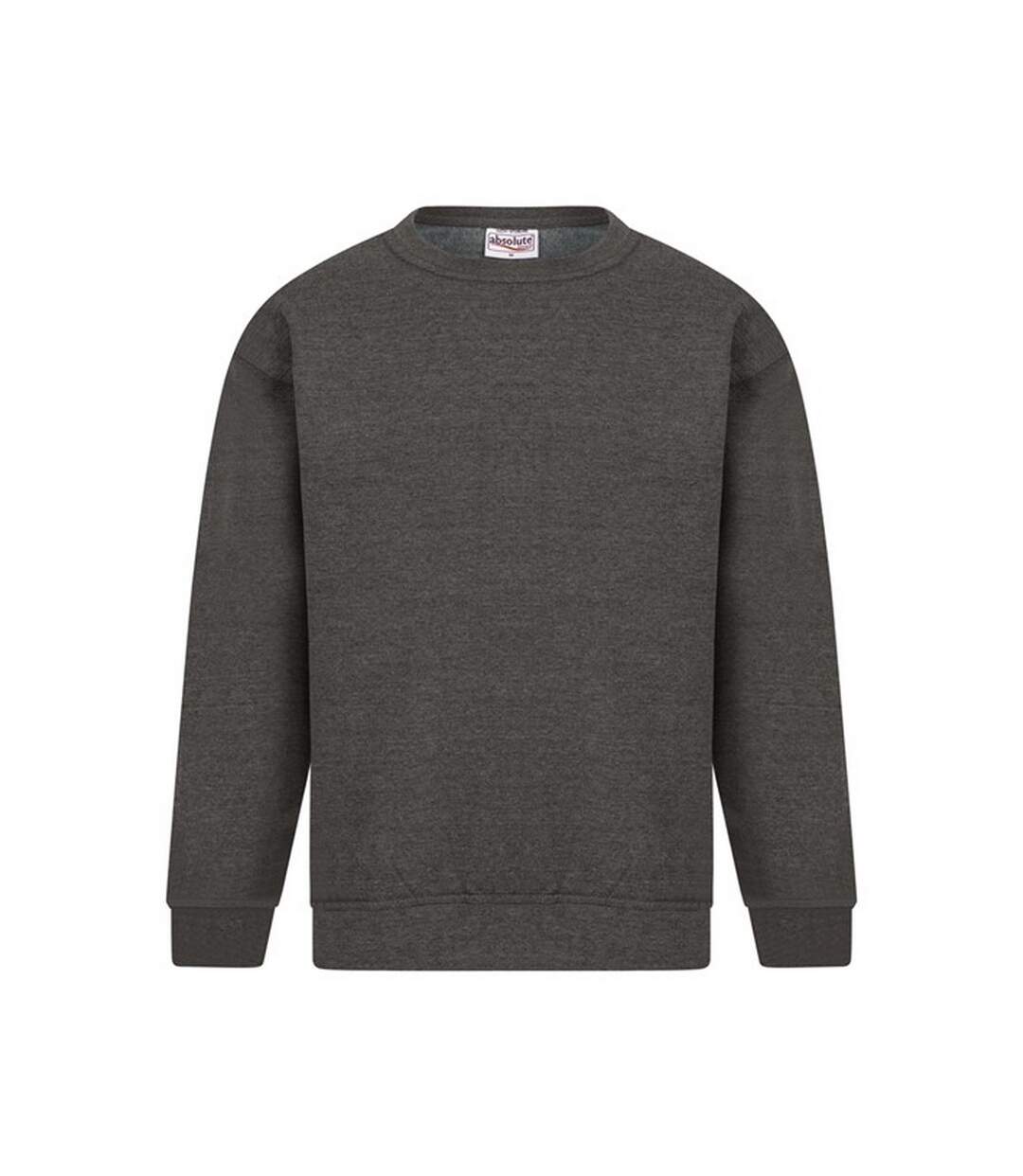 Absolute Apparel - Sweat-shirt STERLING - Homme (Charbon) - UTAB113