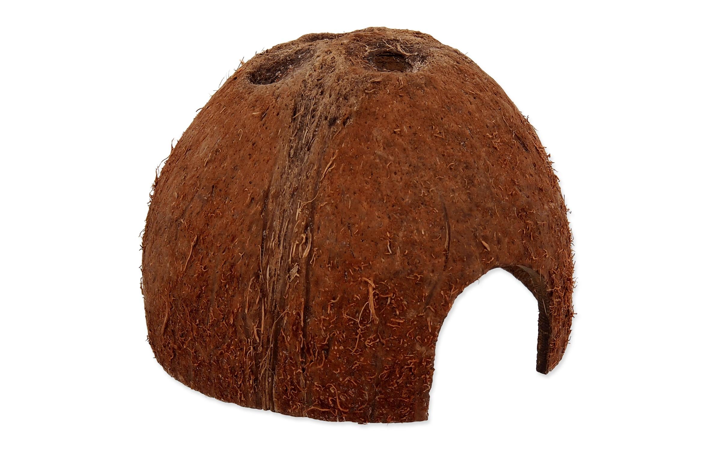 Coco Schale SKokosnussschale