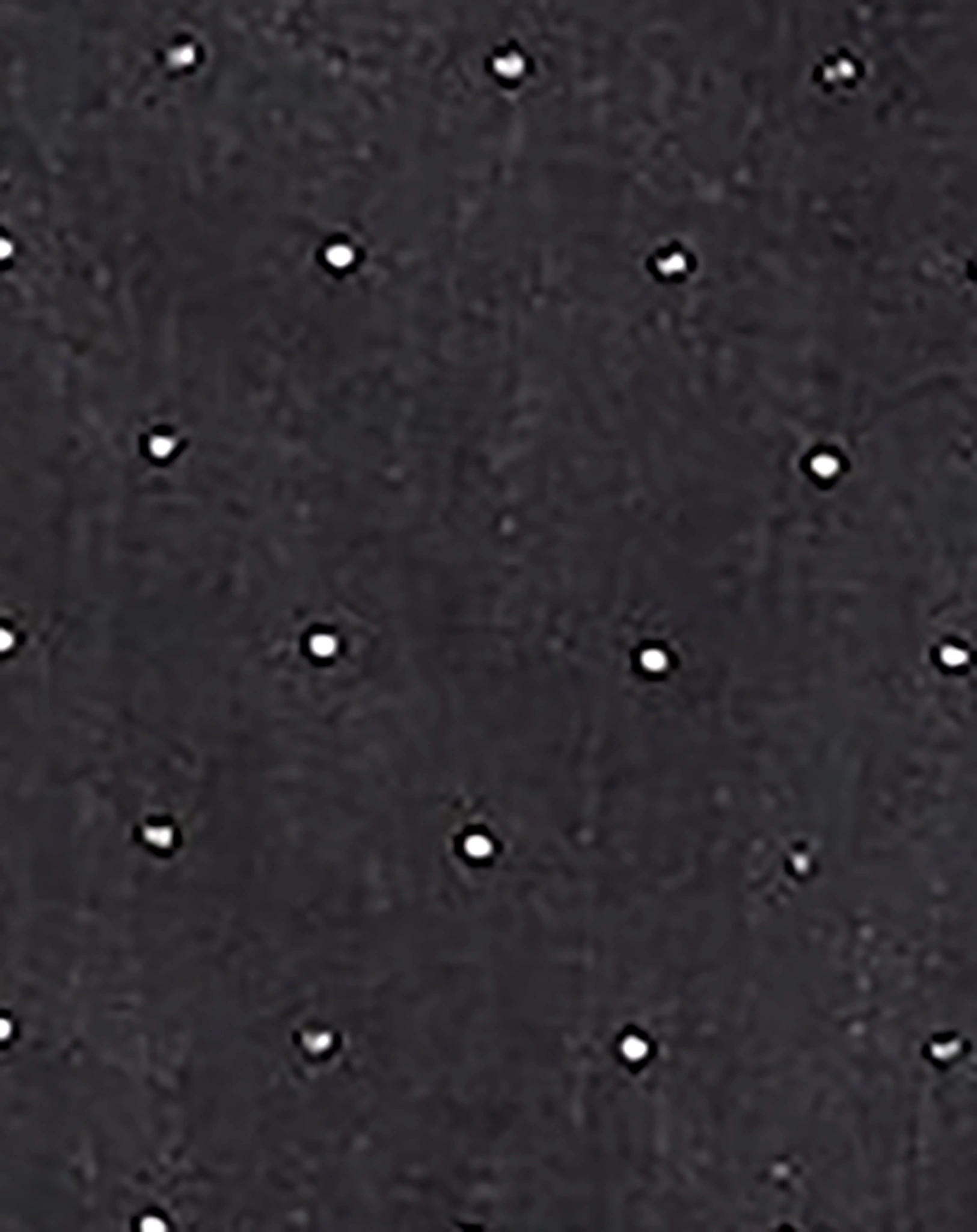 Jeans NKFSALLI DOTS SLIM FIT in black denim