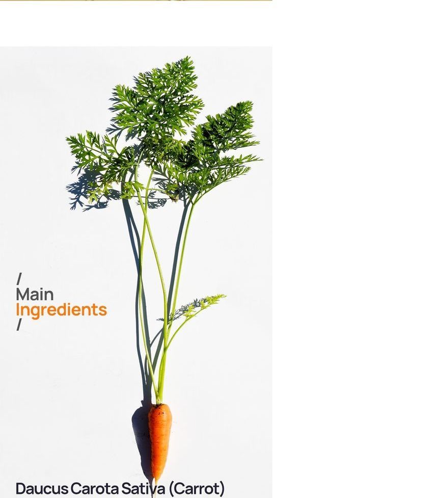 Bueno - Paris Queen Huile Carrot Body Oil